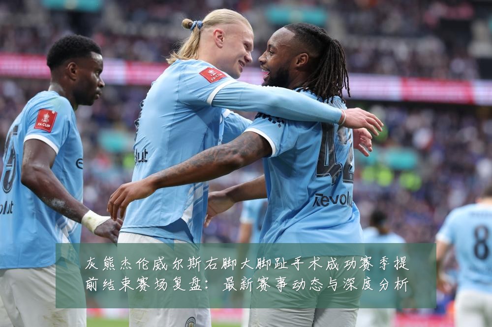 灰熊杰伦威尔斯右脚大脚趾手术成功赛季提前结束赛场复盘:最新赛事动态与深度分析